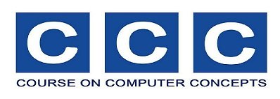 Megamind Computer Institute